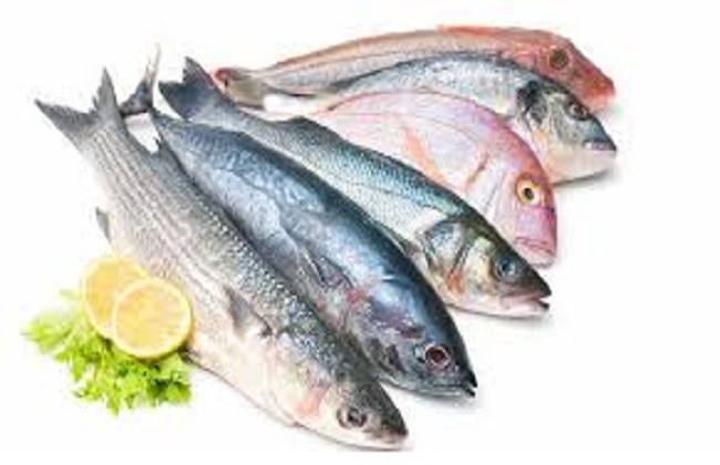 فوائد السمك للصحة 