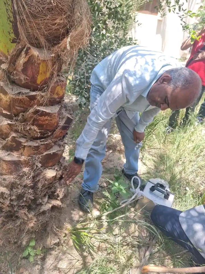 جانب من فاعليات اليوم الحقلى، فيتو