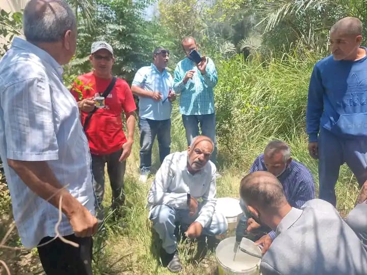 جانب من فاعليات اليوم الحقلى، فيتو