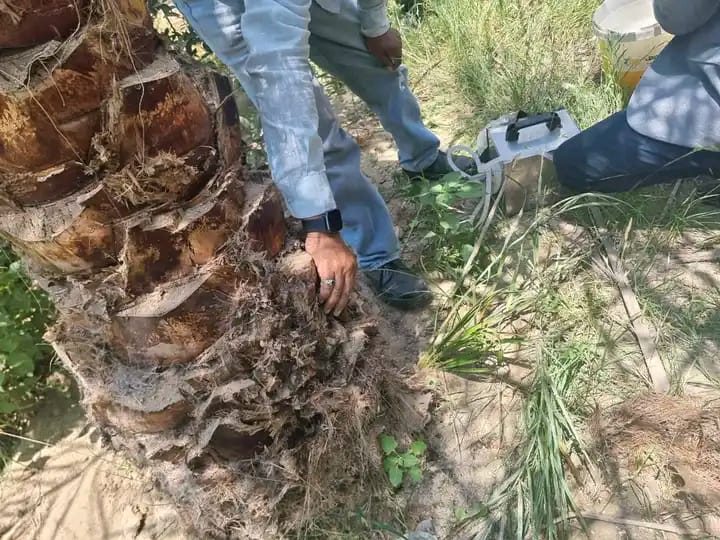 جانب من فاعليات اليوم الحقلى، فيتو