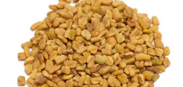 فوائد الحلبة للصحة