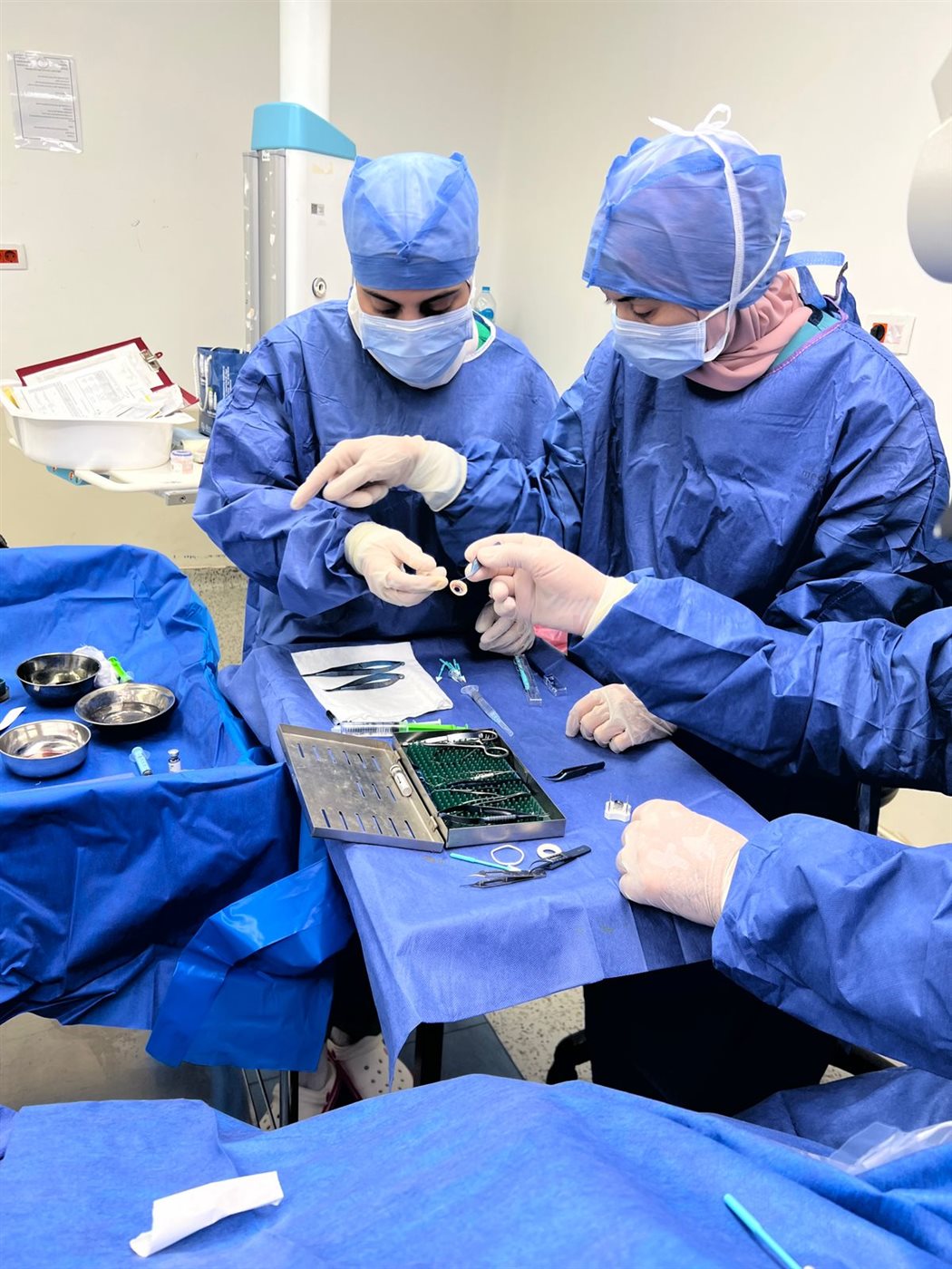 جانب من الجراحة، فيتو