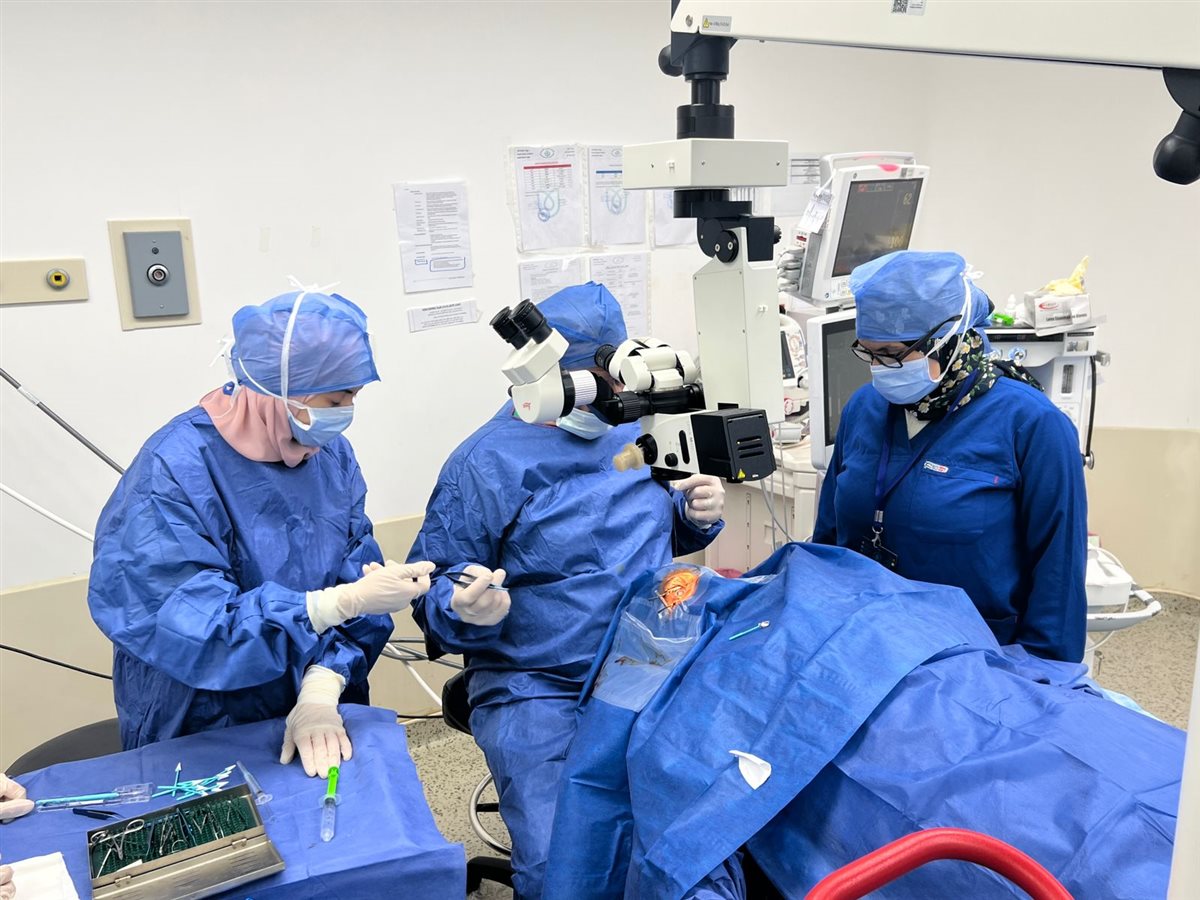 جانب من الجراحة، فيتو