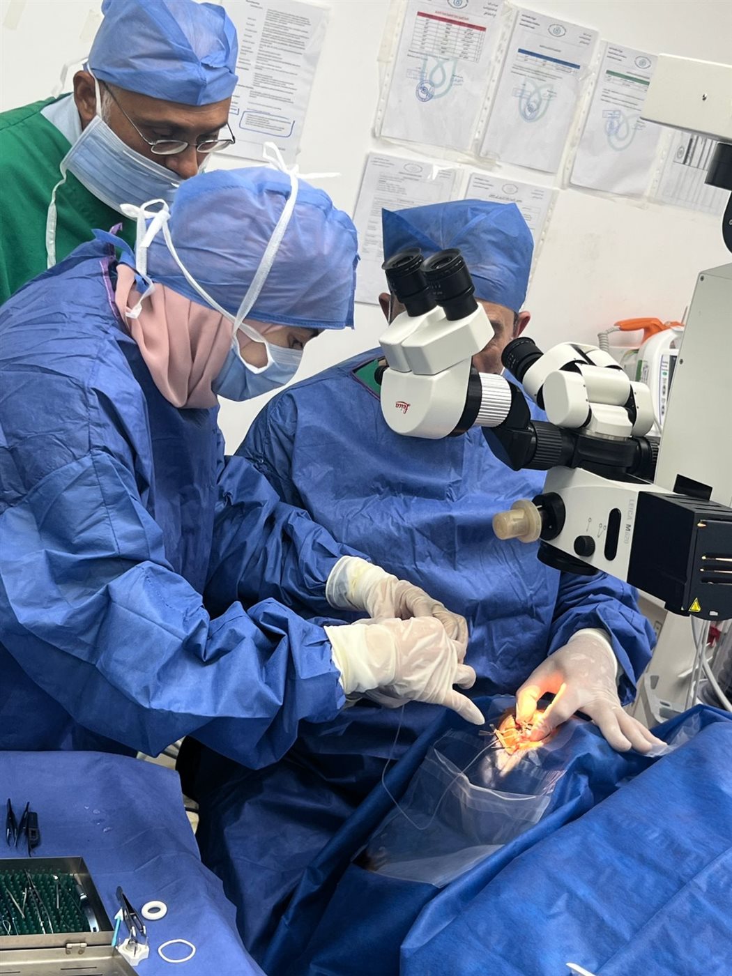 جانب من الجراحة، فيتو