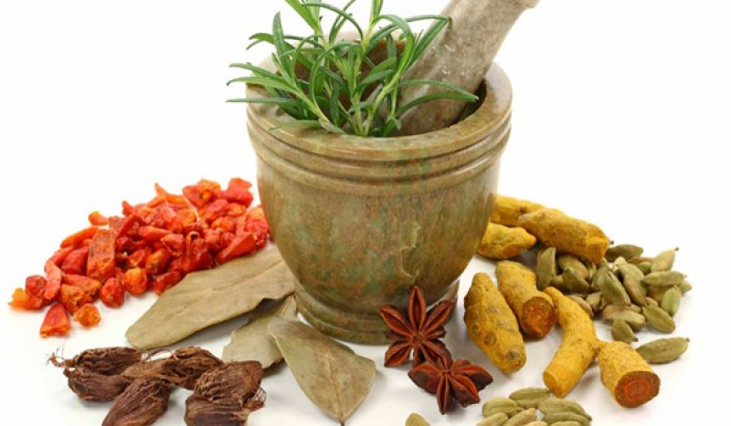 أعشاب طبيعية لعلاج الاسهال