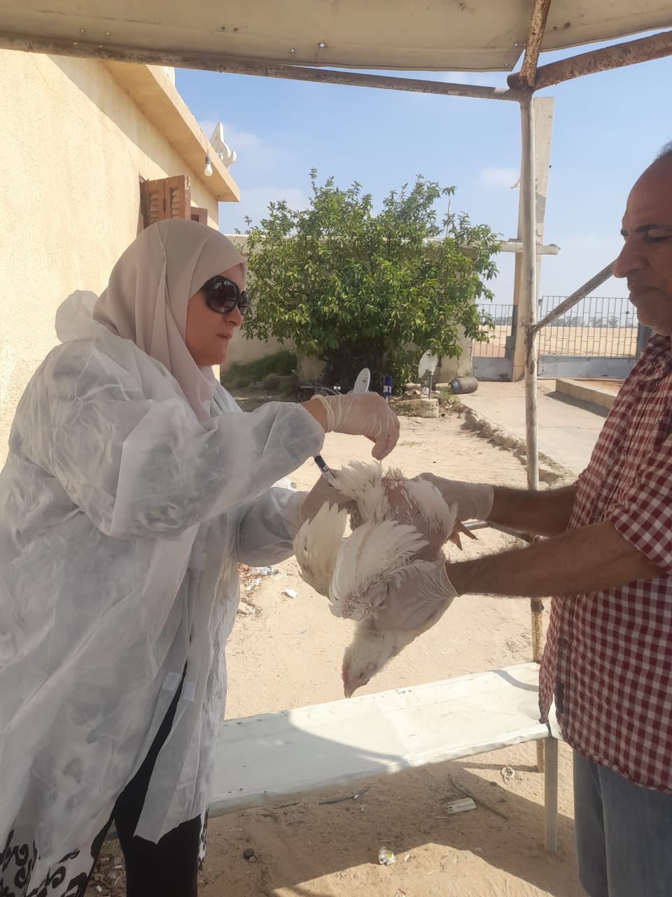 جانب من الحملات، فيتو