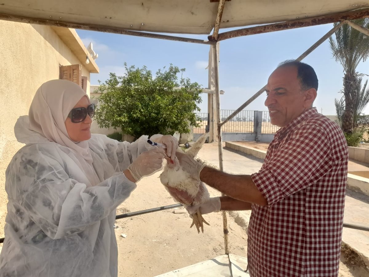 جانب من الحملات، فيتو