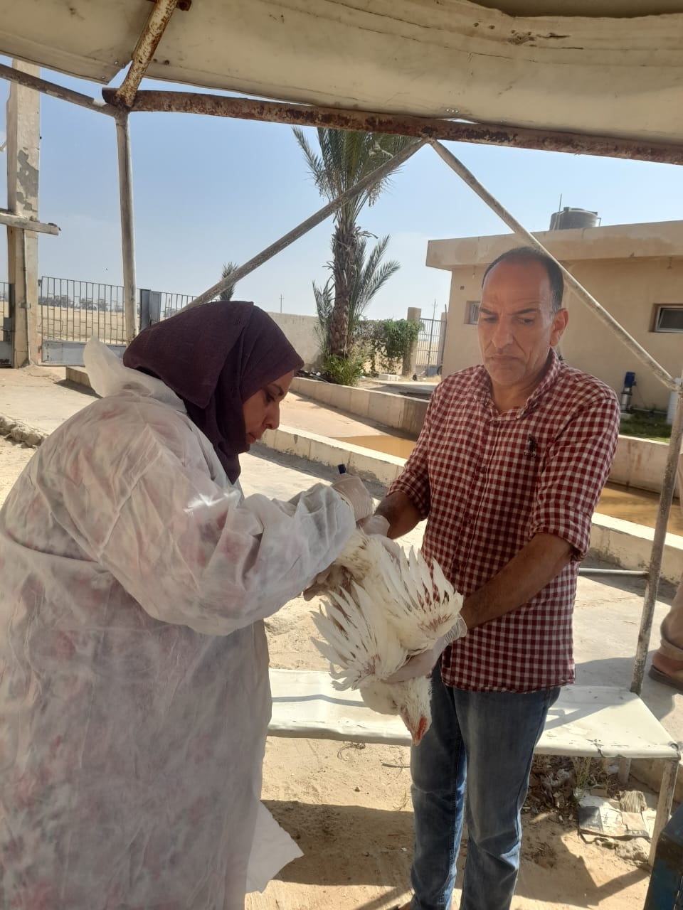 جانب من الحملات، فيتو