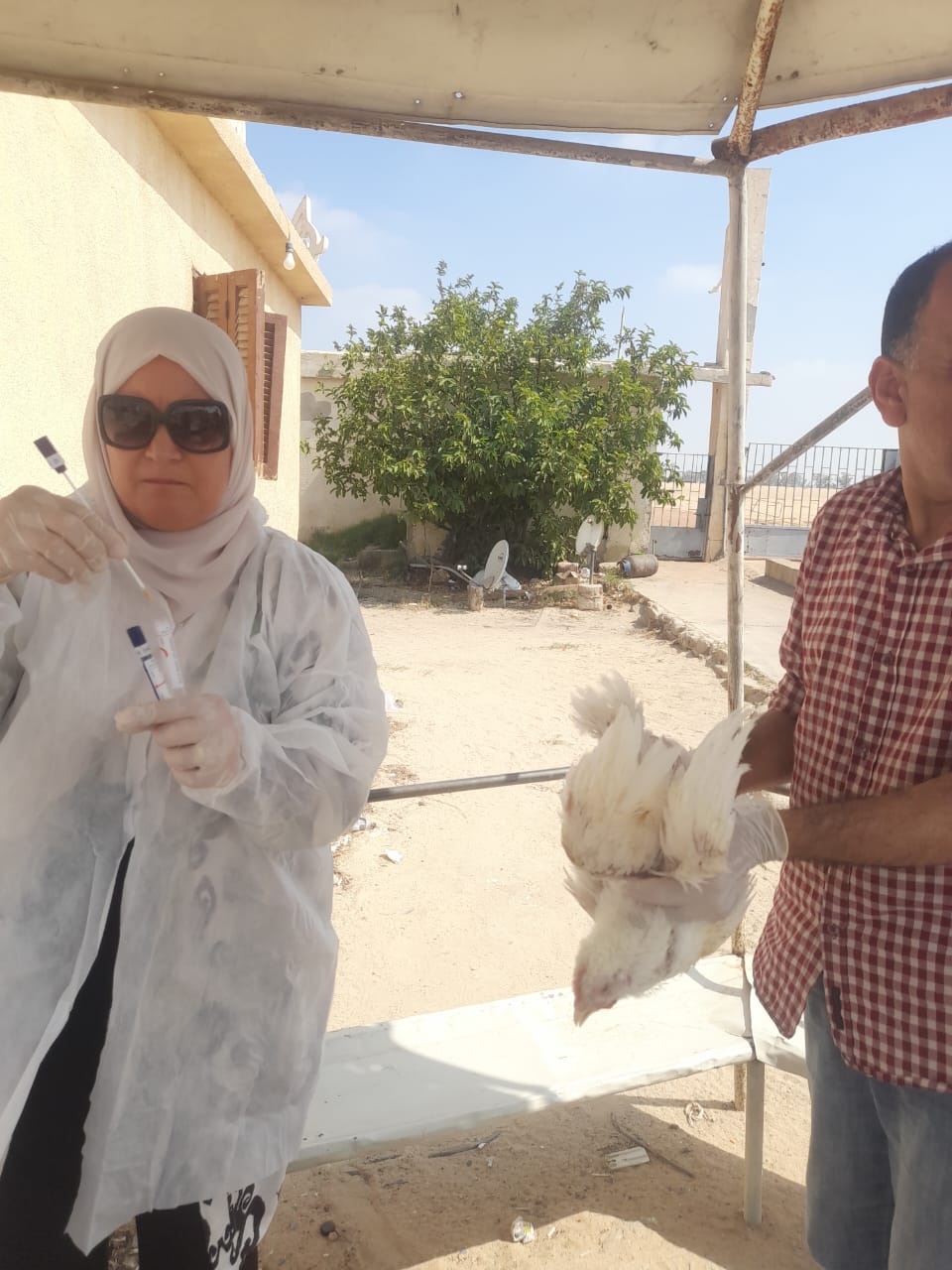 جانب من الحملات، فيتو