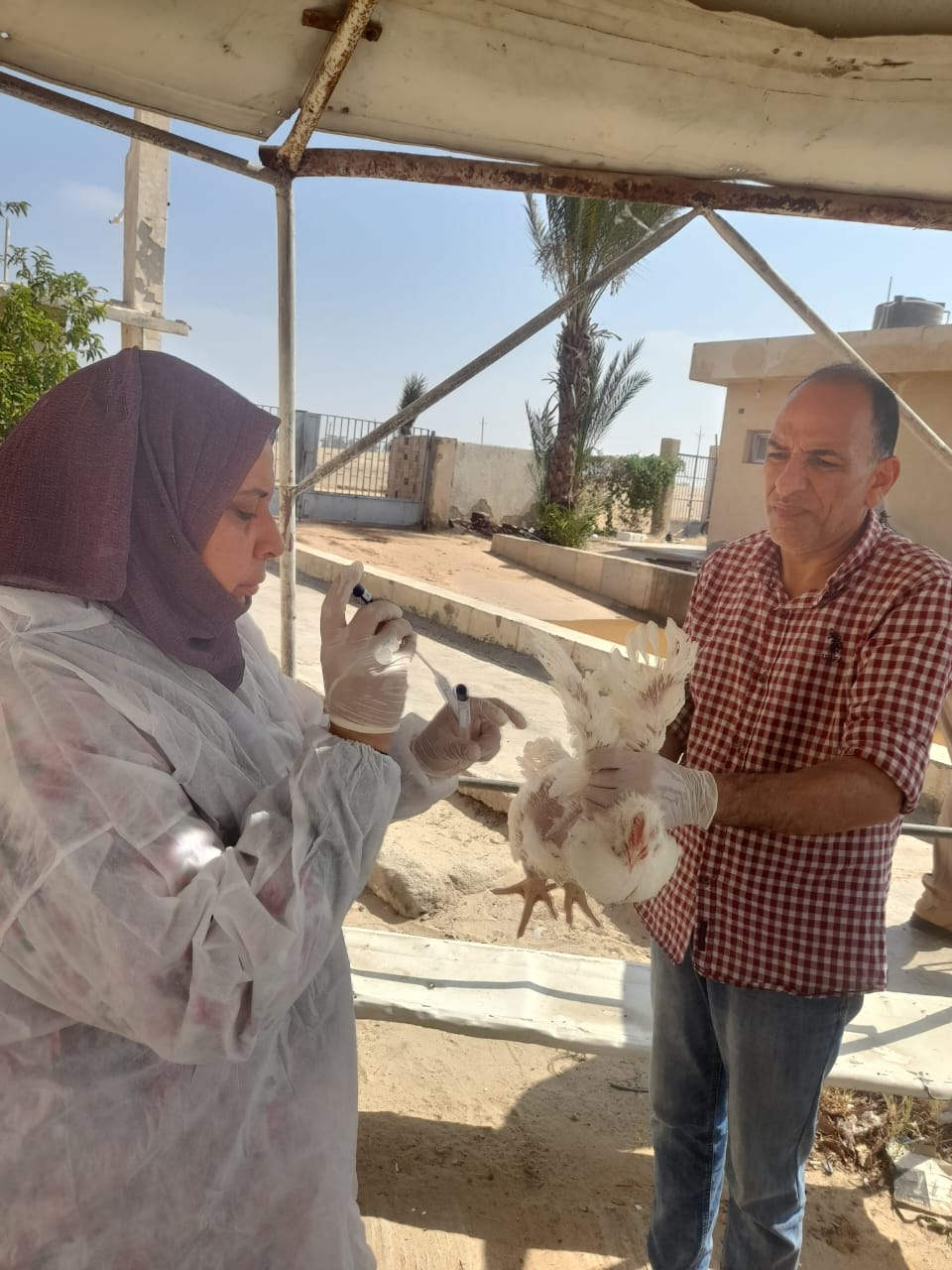 جانب من الحملات، فيتو