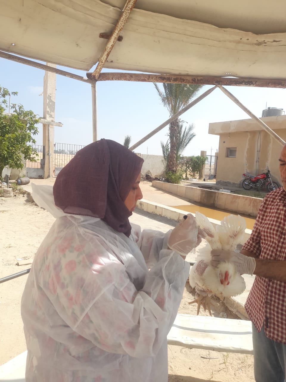 جانب من الحملات، فيتو