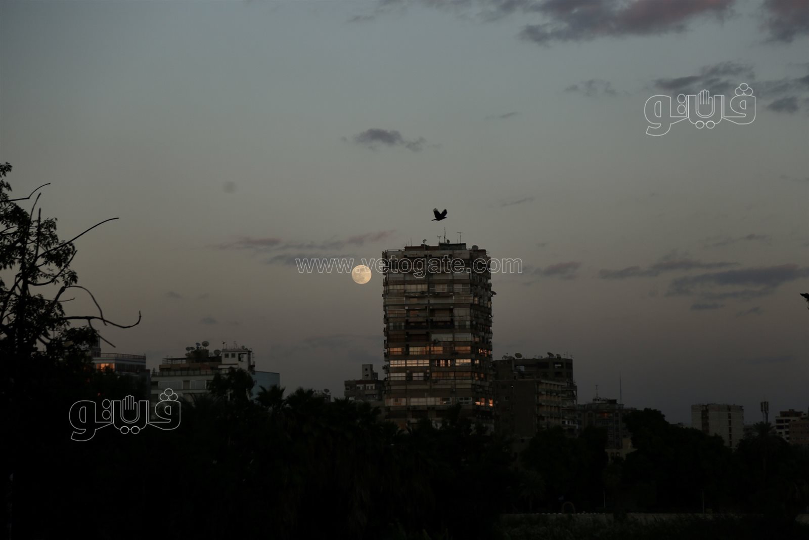 القمر البارد في سماء القاهرة (5)