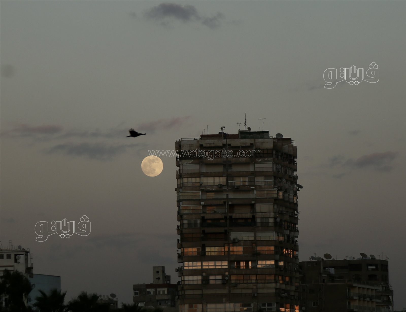 القمر البارد في سماء القاهرة (8)