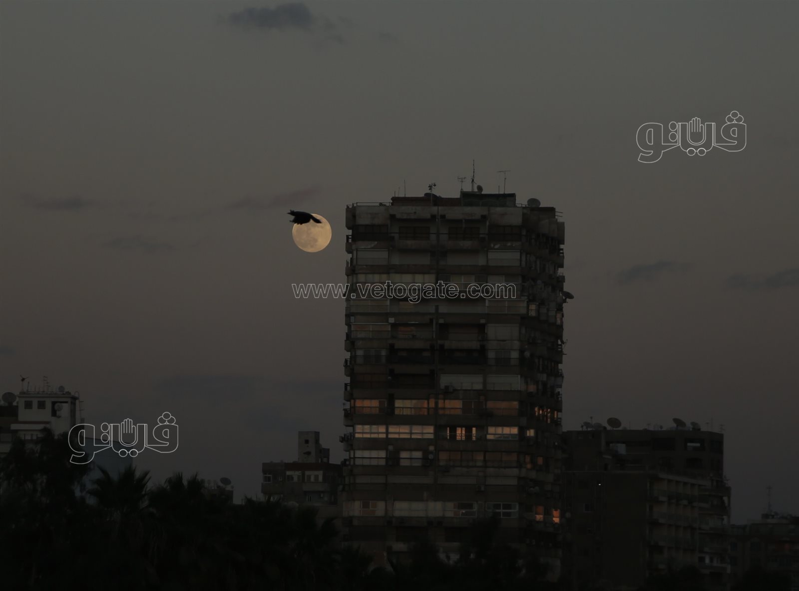  القمر البارد في سماء القاهرة (9)
