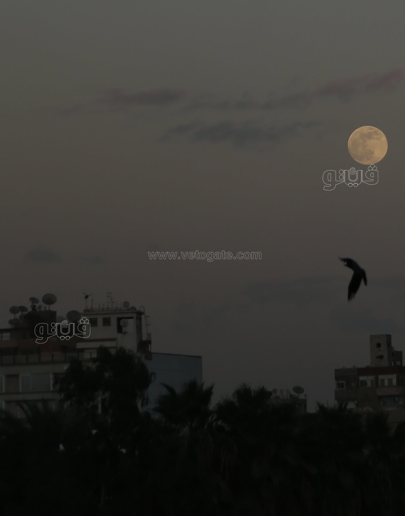  القمر البارد في سماء القاهرة (10)