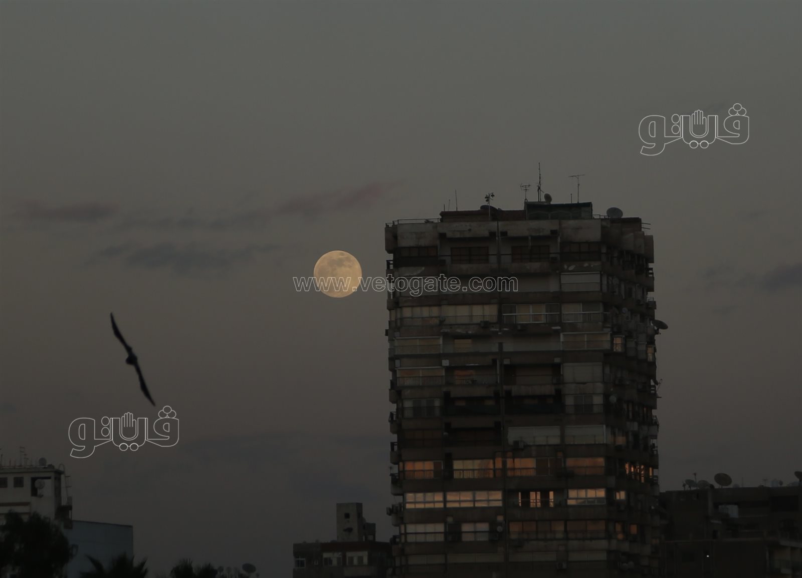  القمر البارد في سماء القاهرة (11)