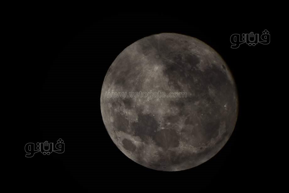 القمر البارد  (11)