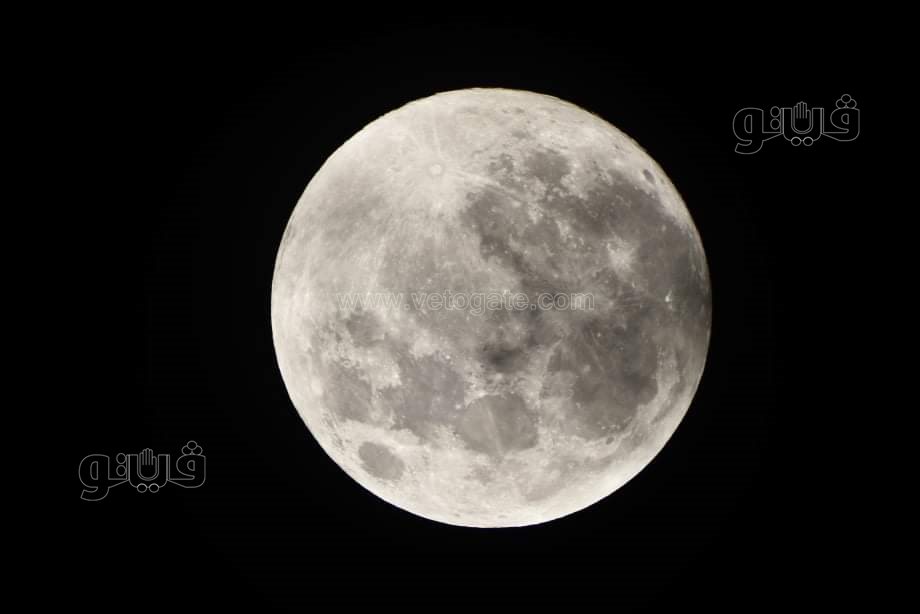 القمر البارد  (12)