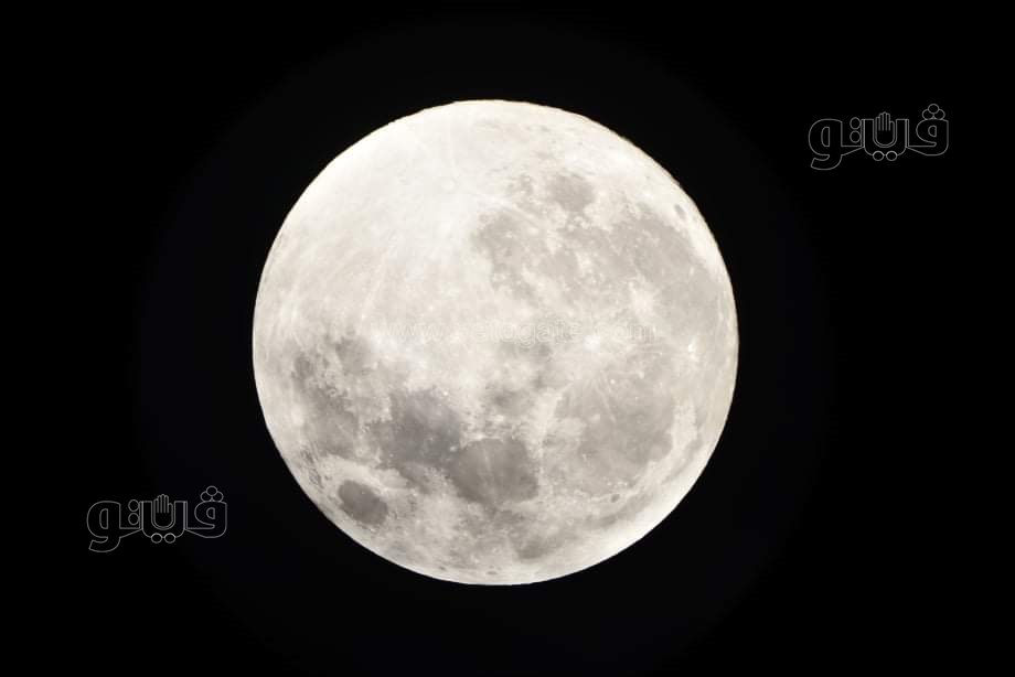 القمر البارد  (5)