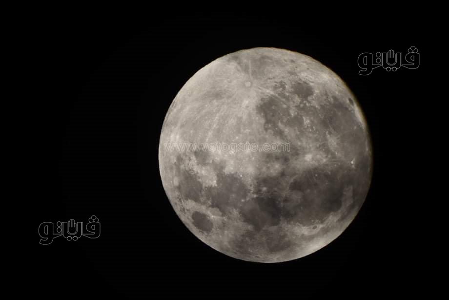 القمر البارد  (7)