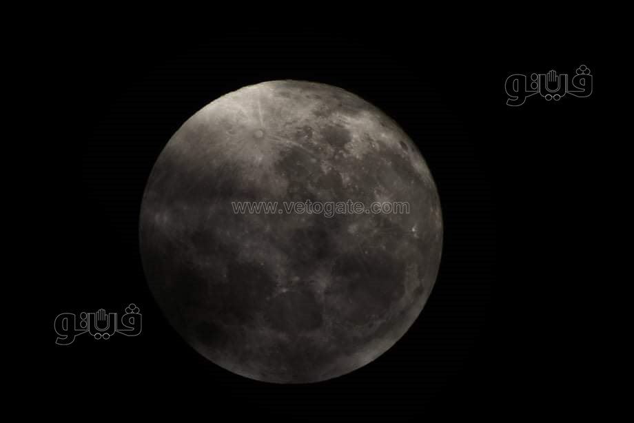 القمر البارد  (8)