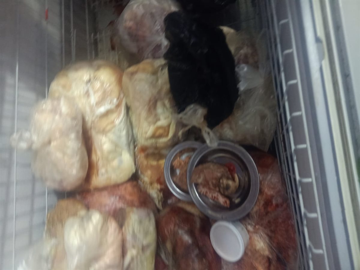 جانب من الحملات، فيتو