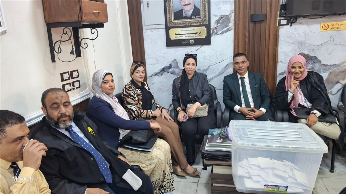 جانب من عملية التصويت، فيتو