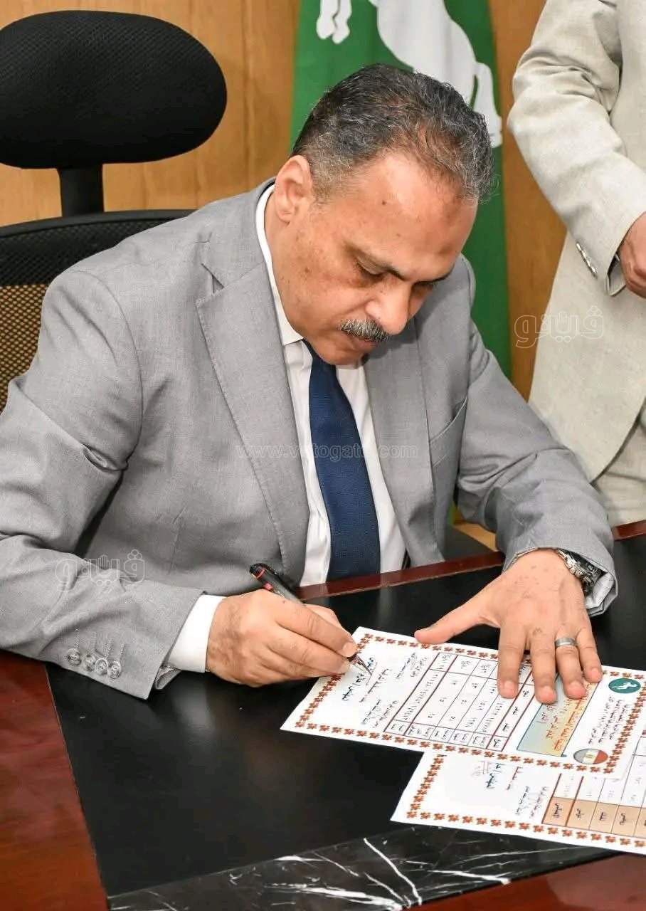 نتيجة الشهادة الاعدادية، فيتو