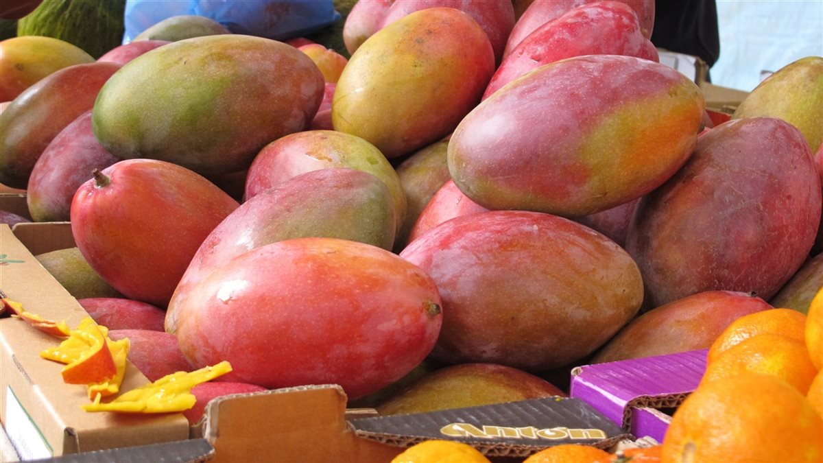 <strong>أسعار المانجو في المحال التجارية</strong>