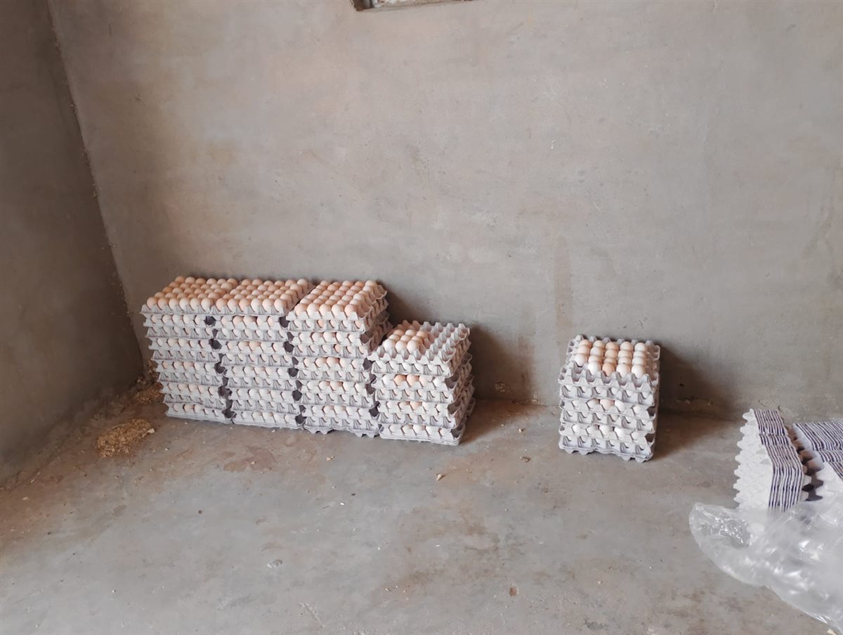 جانب من المشروع،فيتو