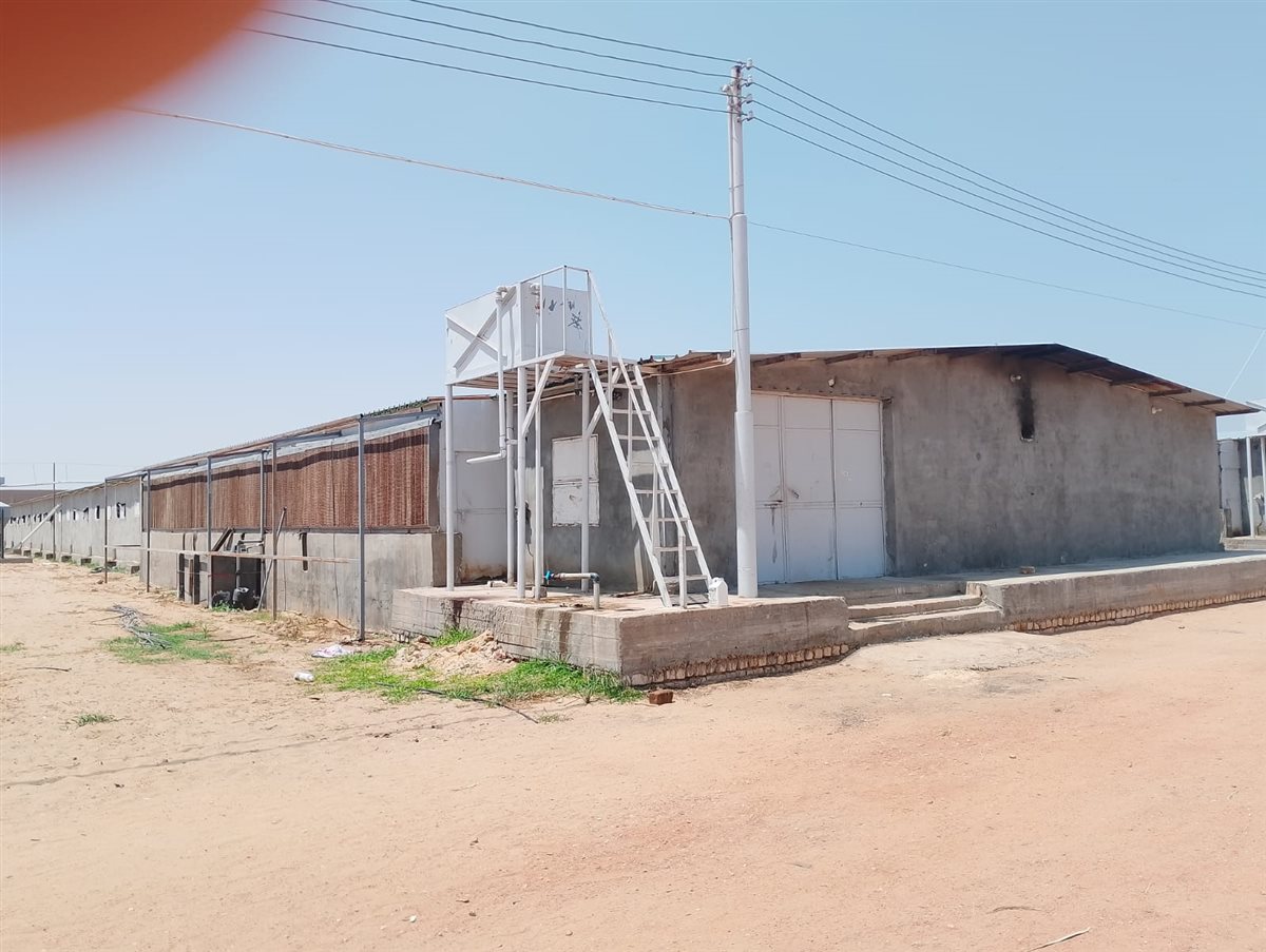 جانب من المشروع،فيتو