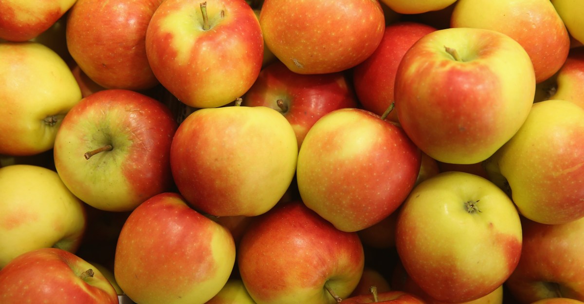 التفاح البلدي لصحتك