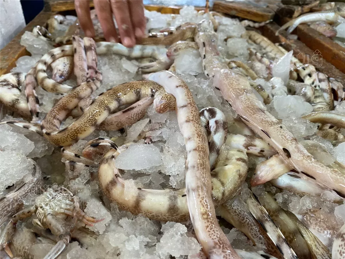 <strong>سعر السمك اليوم في سوق العبور</strong>