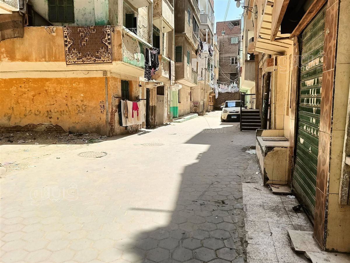 الشارع الذى تقيم فيه العائلة بمركزبلبيس،فيتو