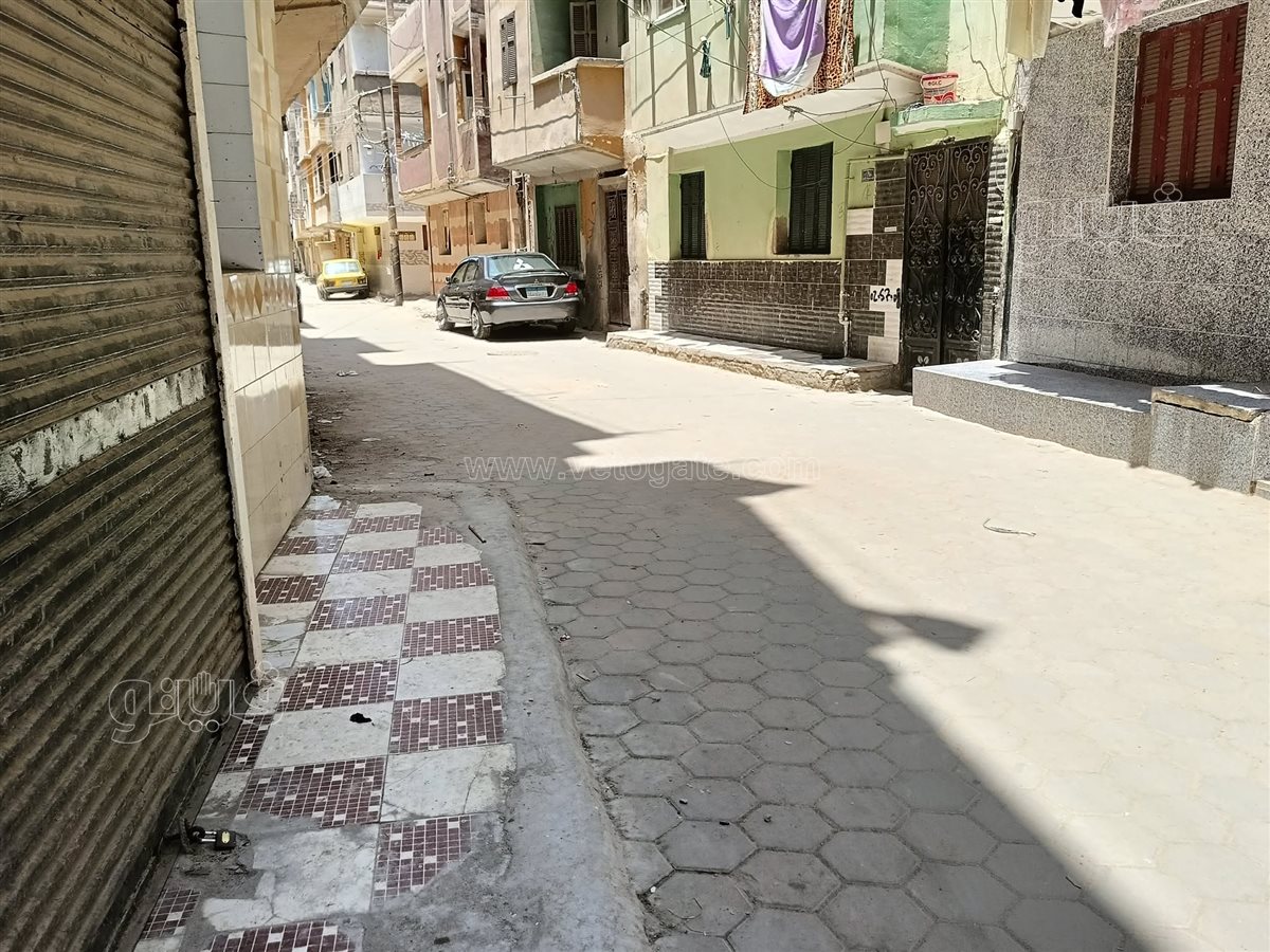 الشارع الذى تقيم فيه العائلة بمركزبلبيس،فيتو