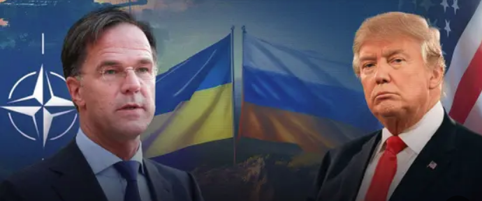 مارك روته يحاول إقناع ترامب بدعم الناتو، فيتو