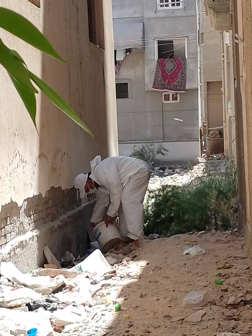 دمياط تكثف جهودها للارتقاء بمستوى النظافة ومكافحة الحشرات والقوارض