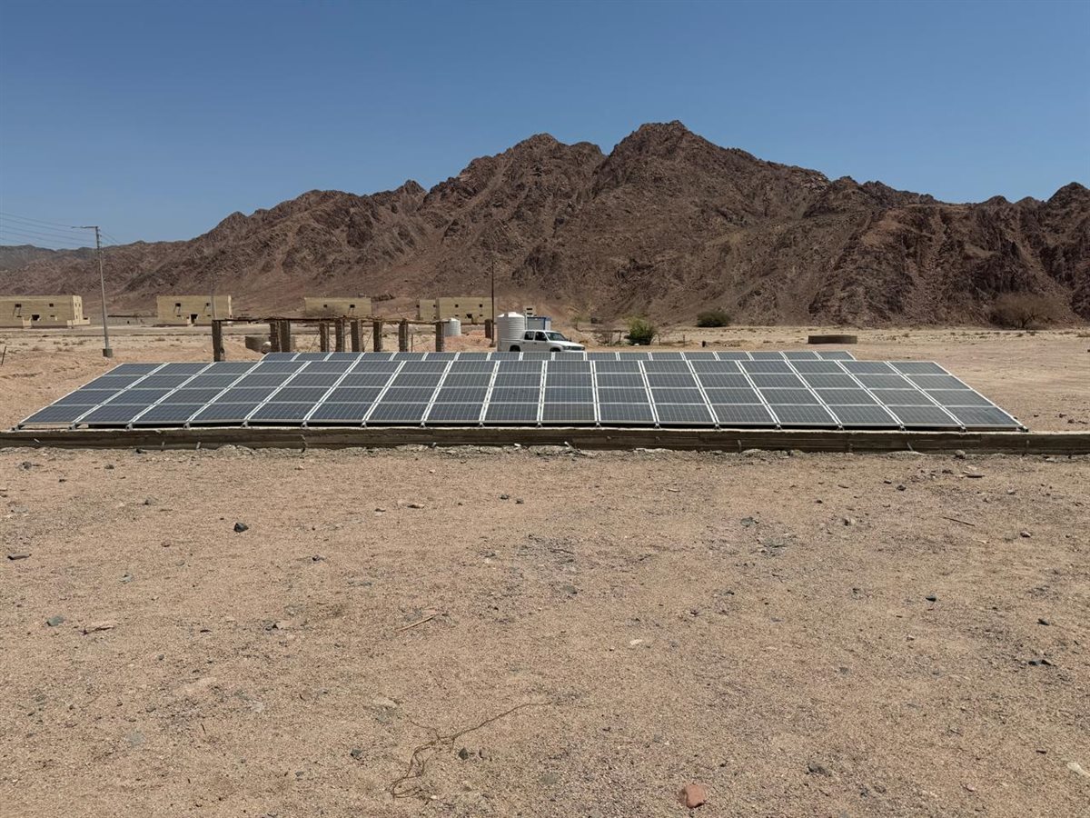 مشروع الجامعة البريطانية بمحمية نبق