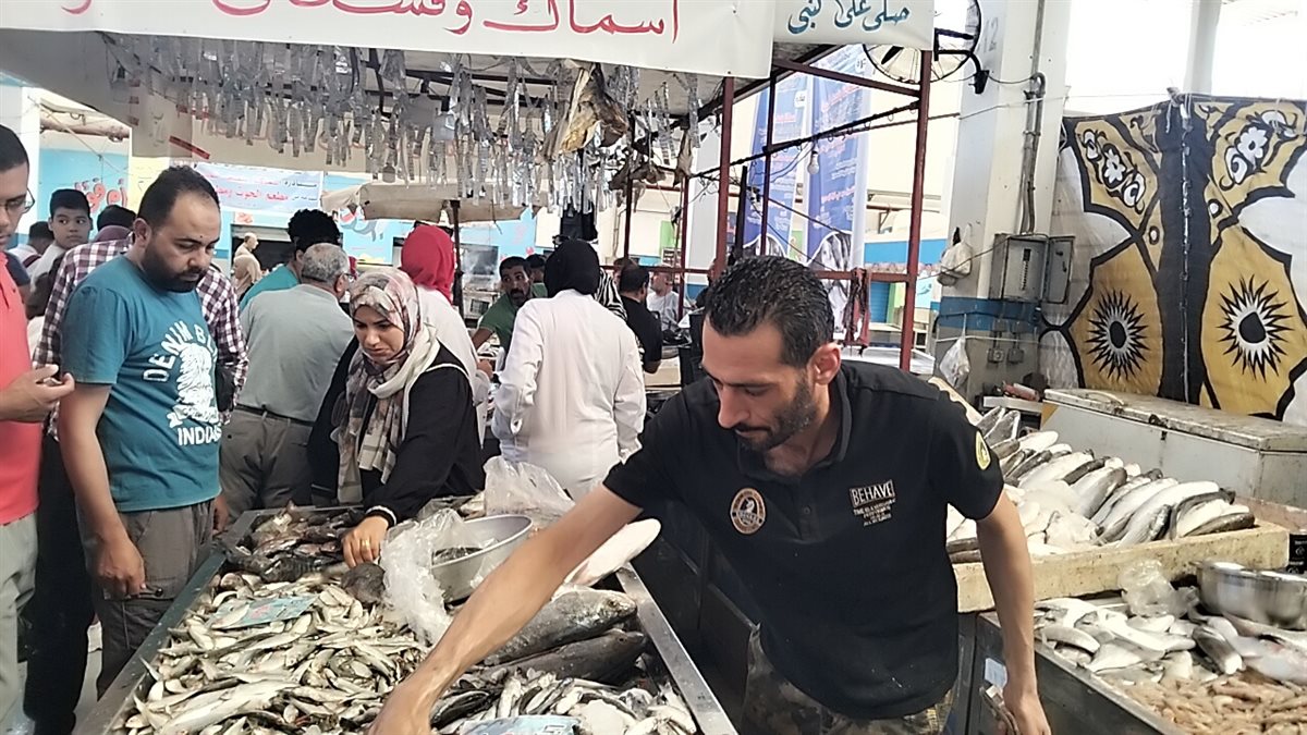 جانب من فعاليات المبادرة،فيتو