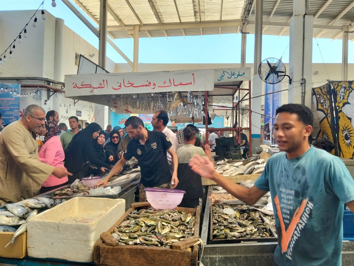 جانب من فعاليات المبادرة،فيتو