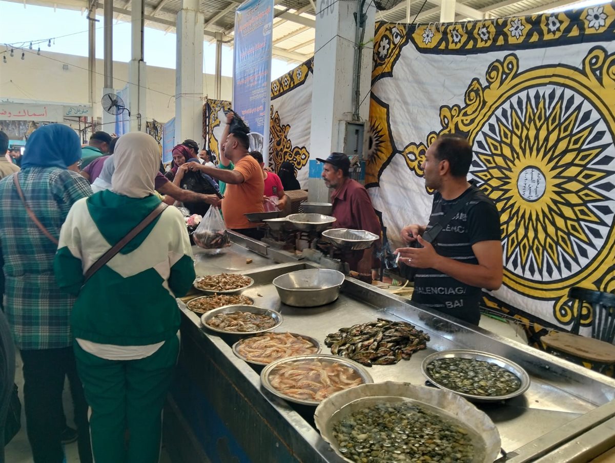 جانب من فعاليات المبادرة،فيتو