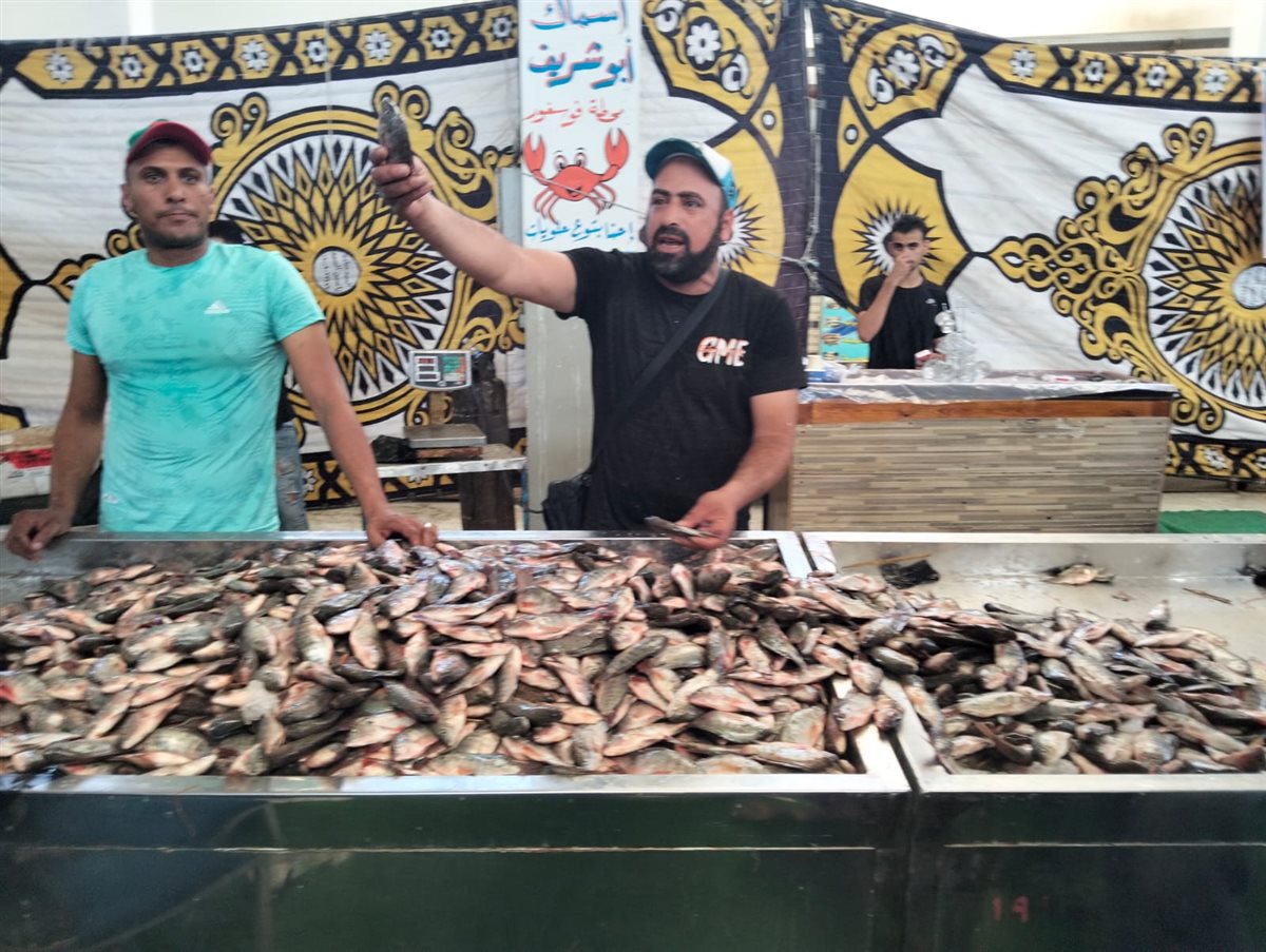 جانب من فعاليات المبادرة،فيتو