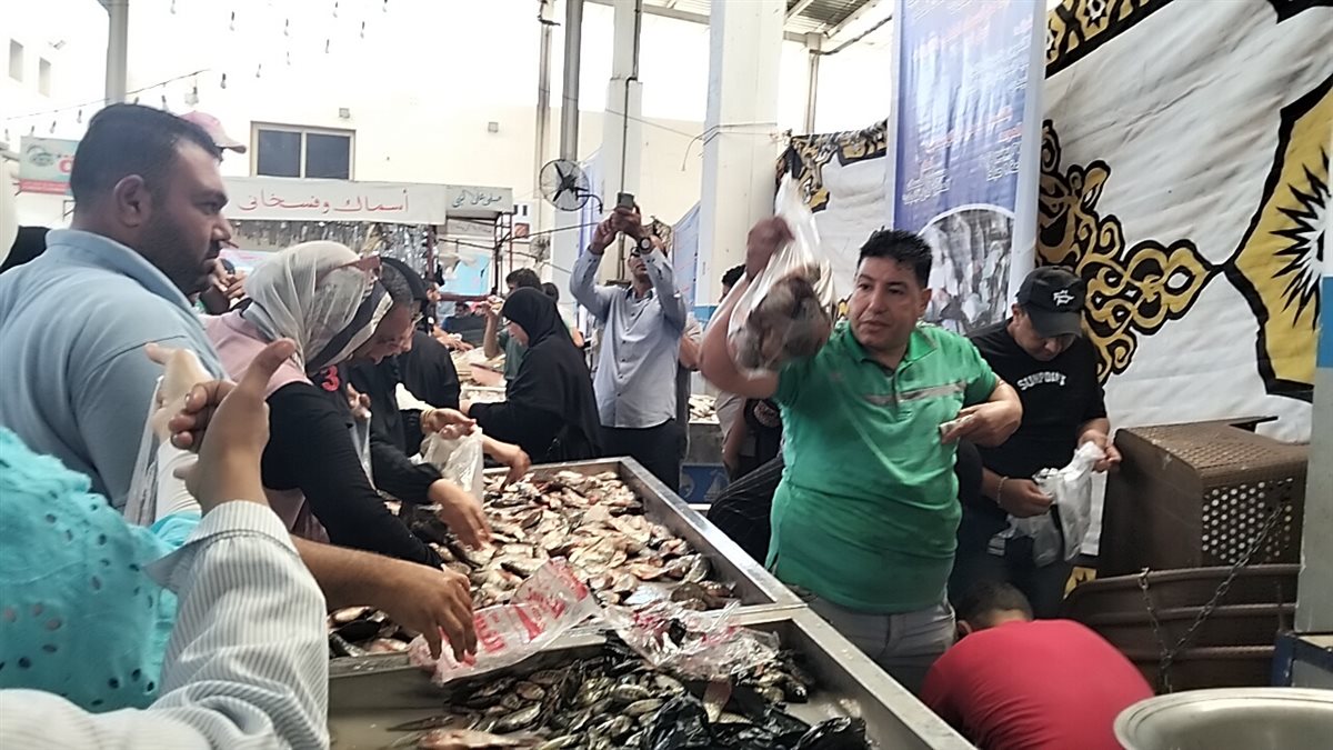 جانب من فعاليات المبادرة،فيتو