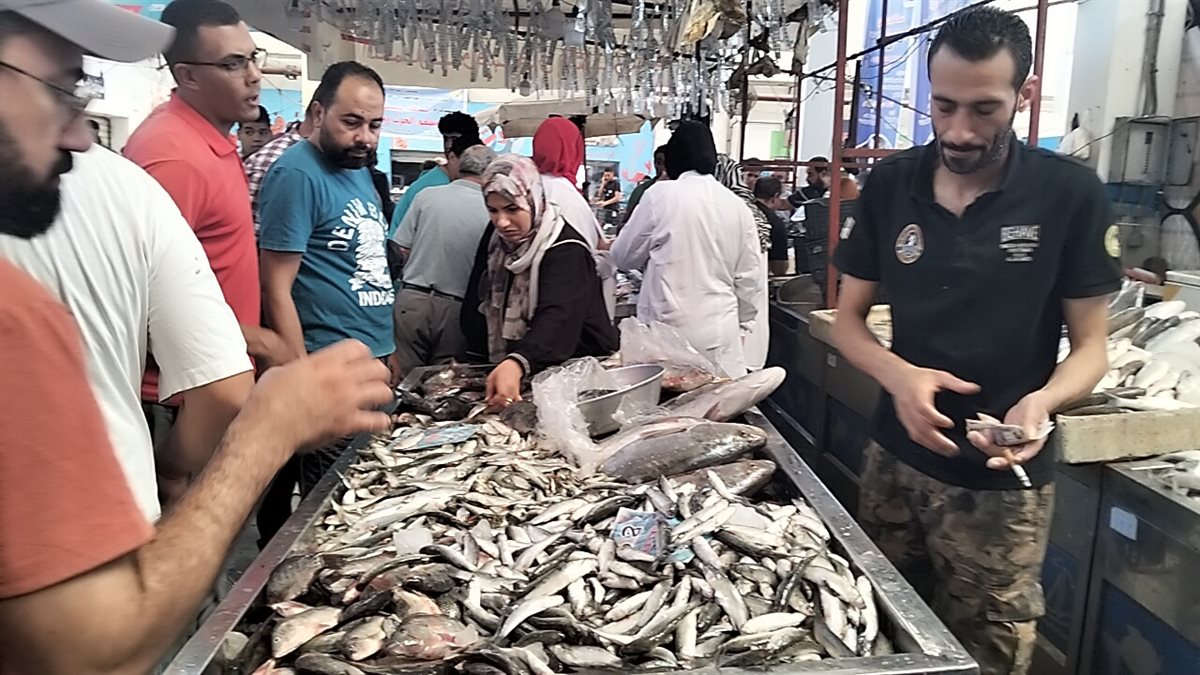 جانب من فعاليات المبادرة،فيتو