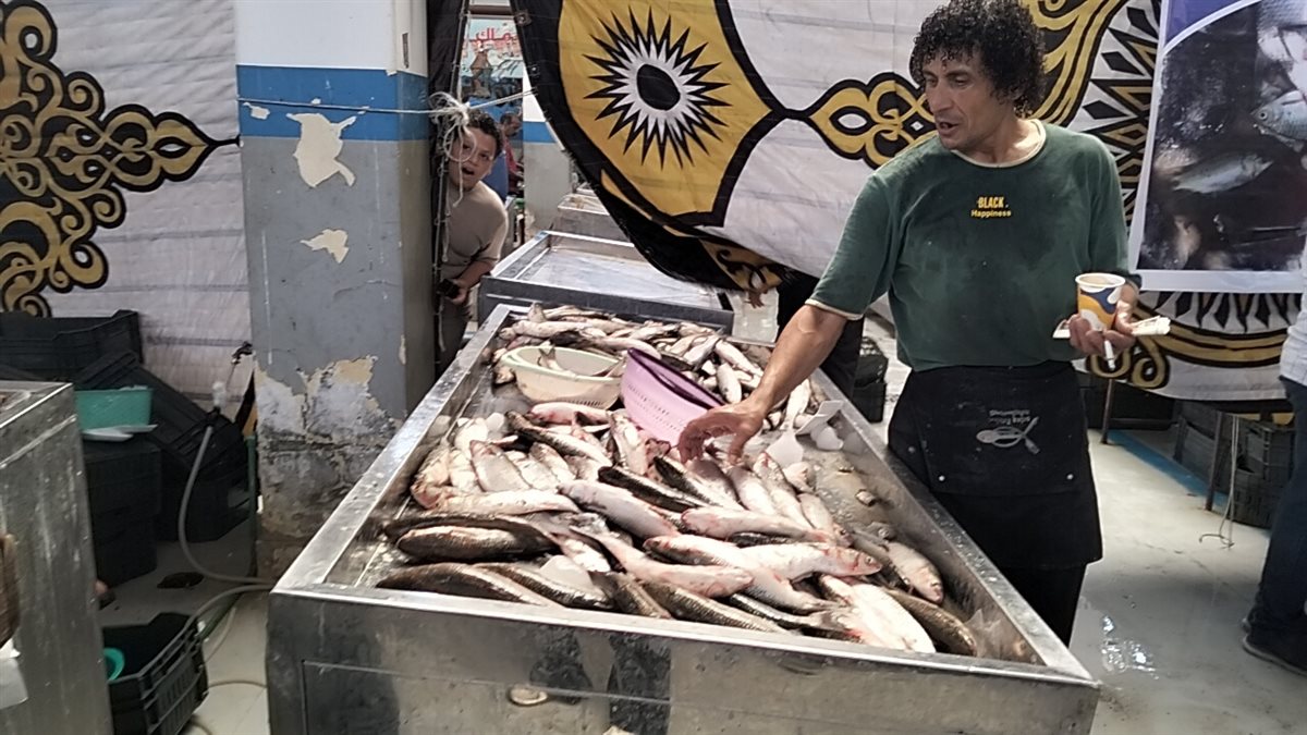 جانب من فعاليات المبادرة،فيتو