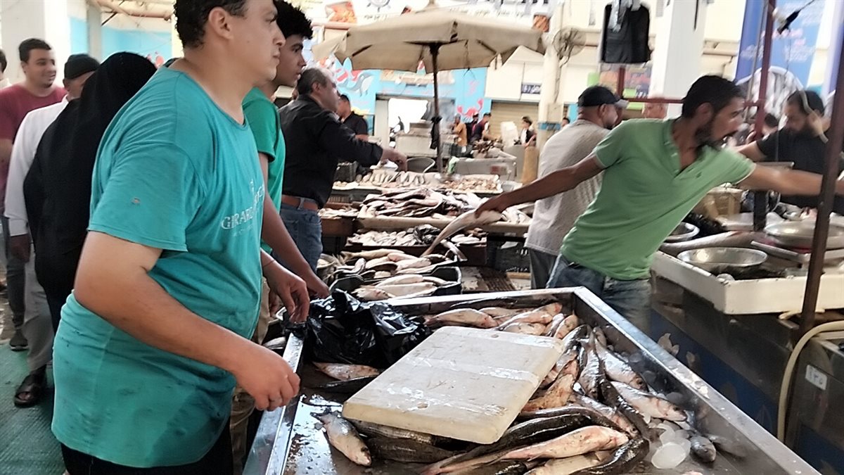 جانب من فعاليات المبادرة،فيتو