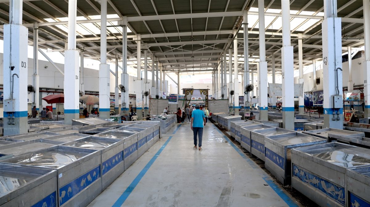 جانب من المبادرة، فيتو