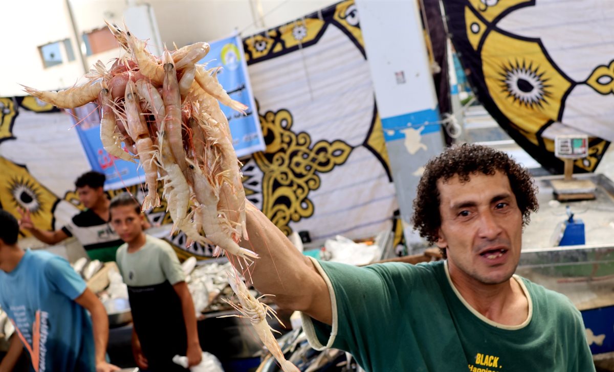 جانب من المبادرة، فيتو