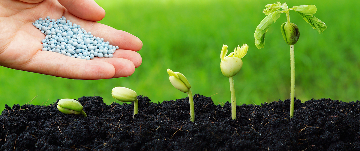 <strong>أسعار الأسمدة اليوم، فيتو</strong>