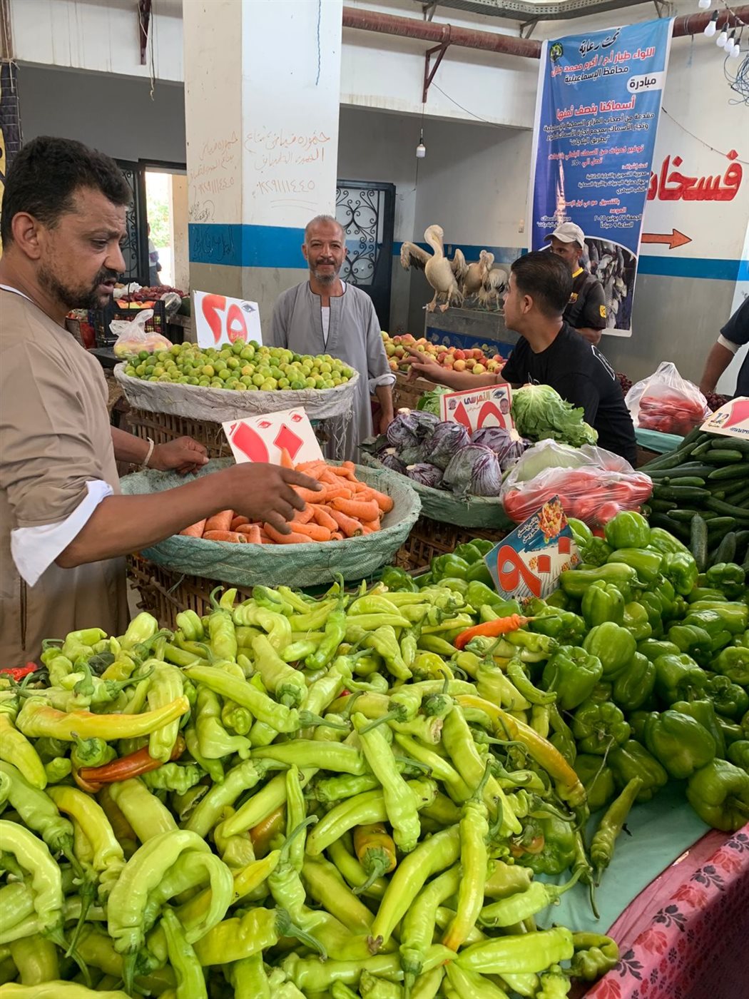 جانب من المبادرة، فيتو